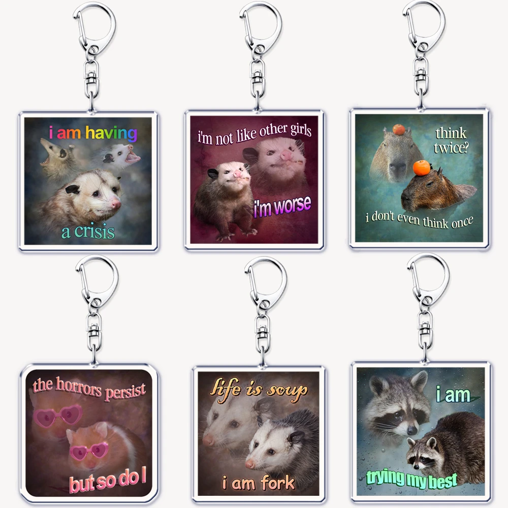 Tech Accessories Bag - ตลก Possum หนูแฮมสเตอร์ Raccoon Cat Meme
